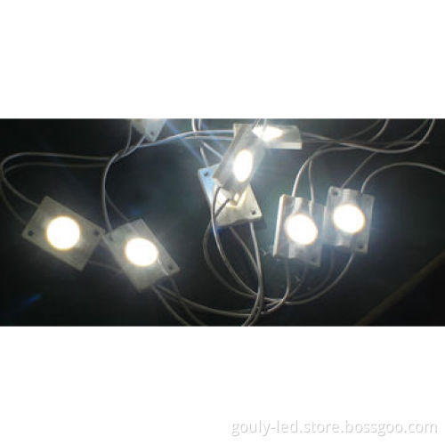 LED Module 1.2W, High power Cree Chip Waterproof 12V